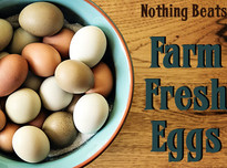 Farm fresh eggs20180224 17613 bpkate