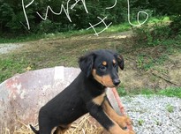 File120180801 23600 1tqvydd